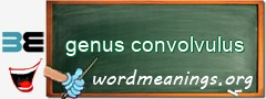 WordMeaning blackboard for genus convolvulus